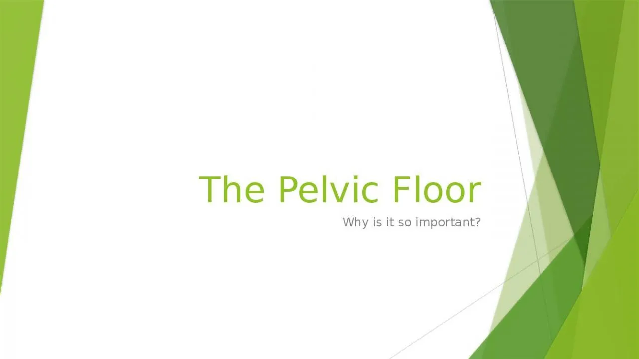 PPT-The Pelvic Floor Why is it so important?