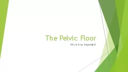 The Pelvic Floor Why is it so important?