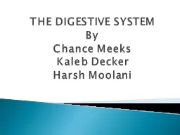 THE DIGESTIVE SYSTEM By Chance Meeks