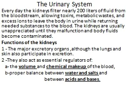 The Urinary System Every day the kidneys filter nearly 200 liters of fluid from the bloodstream,