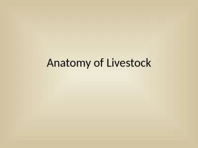 Anatomy of Livestock Anatomy