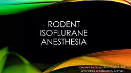 Rodent  Isoflurane  anesthesia