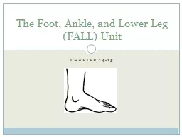 Chapter 14-15 The Foot, Ankle, and Lower Leg (FALL) Unit