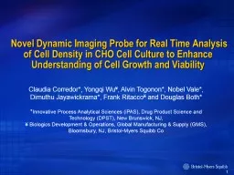 Novel Dynamic Imaging Probe for Real Time Analysis of Cell Density in CHO Cell Culture