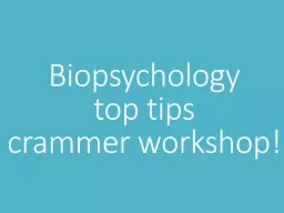 Biopsychology  top  tips