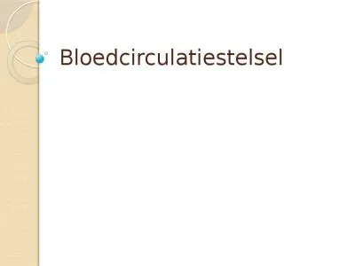 Bloedcirculatiestelsel 1. Bovenste holle ader