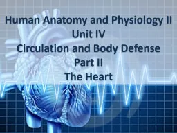 Human Anatomy and  Physiology II