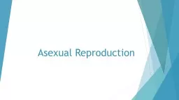 Asexual Reproduction Asexual Reproduction