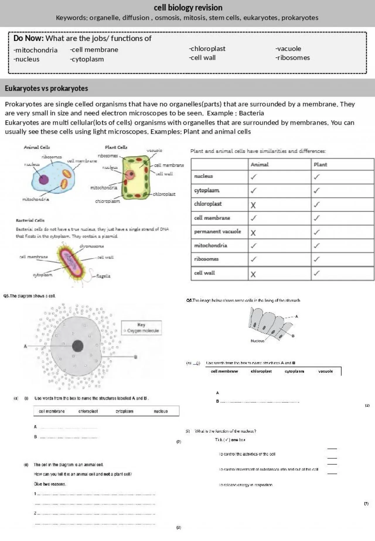 PPT-cell biology revision Keywords: organelle, diffusion , osmosis, mitosis, stem cells, eukaryotes,