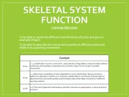 Skeletal system function