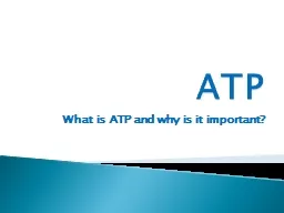 ATP What is ATP and why is it important?