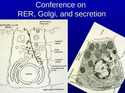 Conference on  RER, Golgi, and secretion