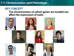 KEY CONCEPT  The chromosomes on which genes are located can affect the expression of traits.