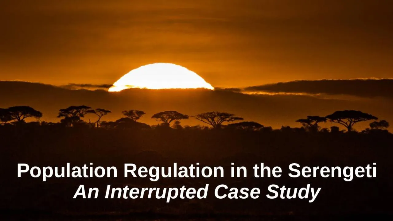 PPT-Population Regulation in the Serengeti