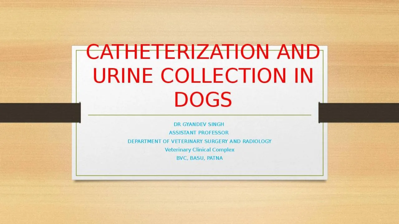 PPT-CATHETERIZATION AND URINE COLLECTION IN DOGS