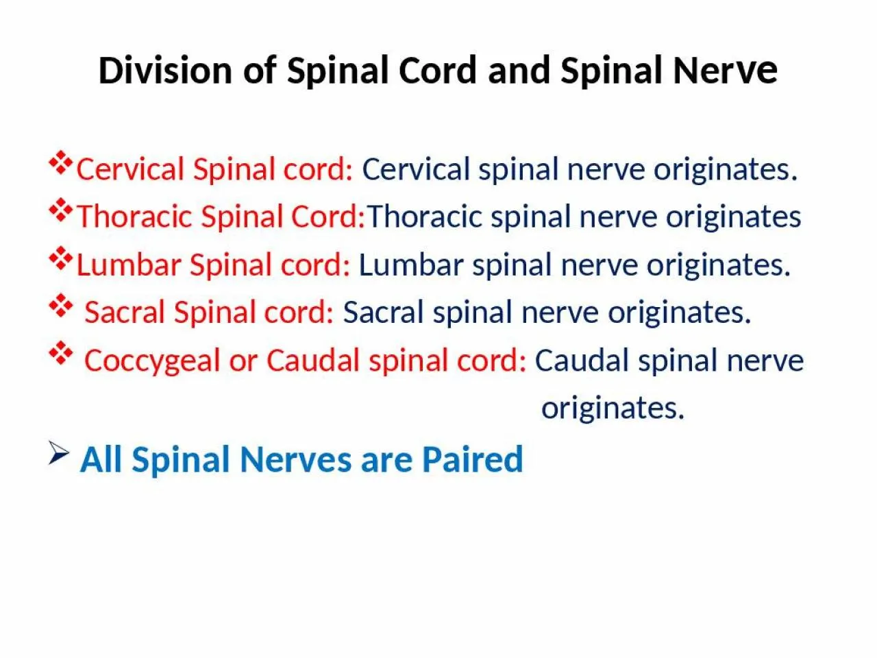 PPT-Division of Spinal Cord and Spinal Ner