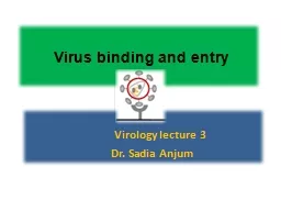 Virus binding and entry