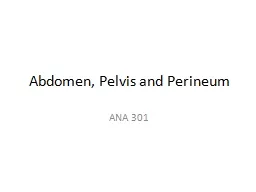 Abdomen , Pelvis and Perineum