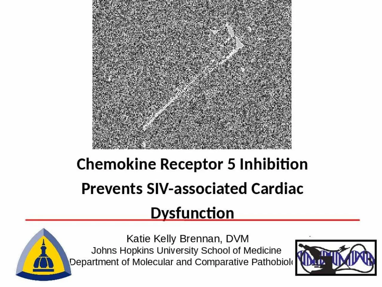 PPT-Chemokine Receptor 5 Inhibition Prevents SIV-associated Cardiac Dysfunction