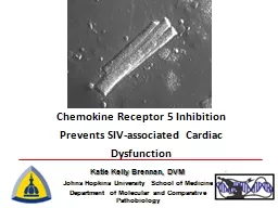 Chemokine Receptor 5 Inhibition Prevents SIV-associated Cardiac Dysfunction