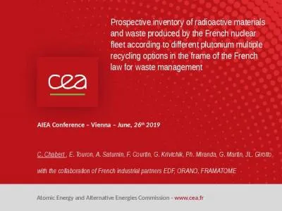 AIEA Conference  – Vienna –