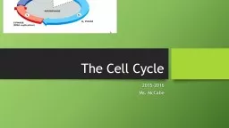 The  Cell Cycle 2015-2016