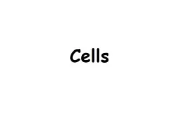 Cells Describe the cell's shape and how it helps it do it job.