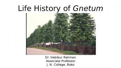 Life History of  Gnetum Dr. Habibur Rahman