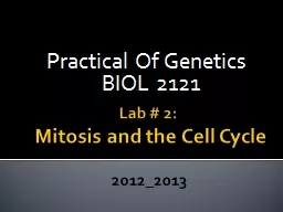 Lab # 2:   Mitosis and the Cell Cycle