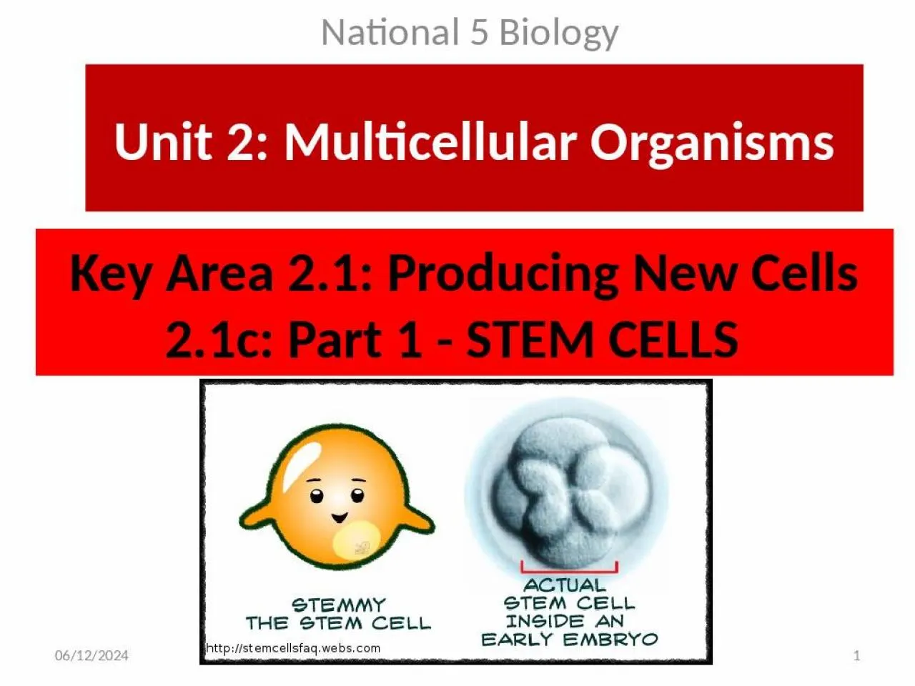 PPT-Key Area 2.1: Producing New Cells