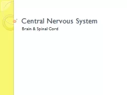 Central Nervous System Brain & Spinal Cord