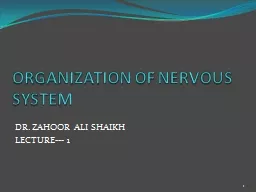 ORGANIZATION OF NERVOUS SYSTEM