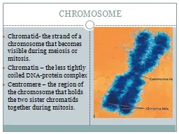 CHROMOSOME Chromatid- the strand of a chromosome that becomes visible during meiosis or