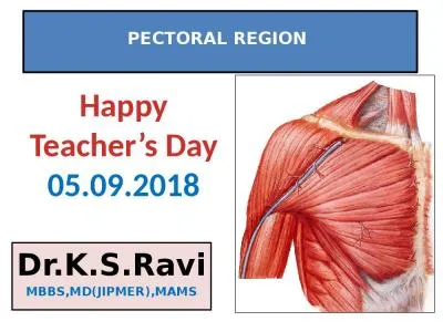 PECTORAL REGION  Dr.K.S.Ravi