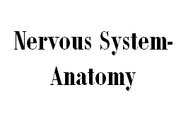 Nervous System-Anatomy Central Nervous System