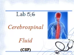 Cerebrospinal  Fluid (CSF)