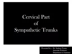 Cervical Part  of  Sympathetic Trunks