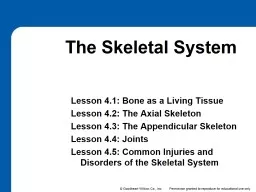 4 Lesson 4.1: Bone as a Living Tissue