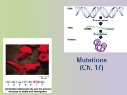 Mutations (Ch. 17) Mutations