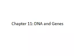 Chapter 11: DNA and  Genes