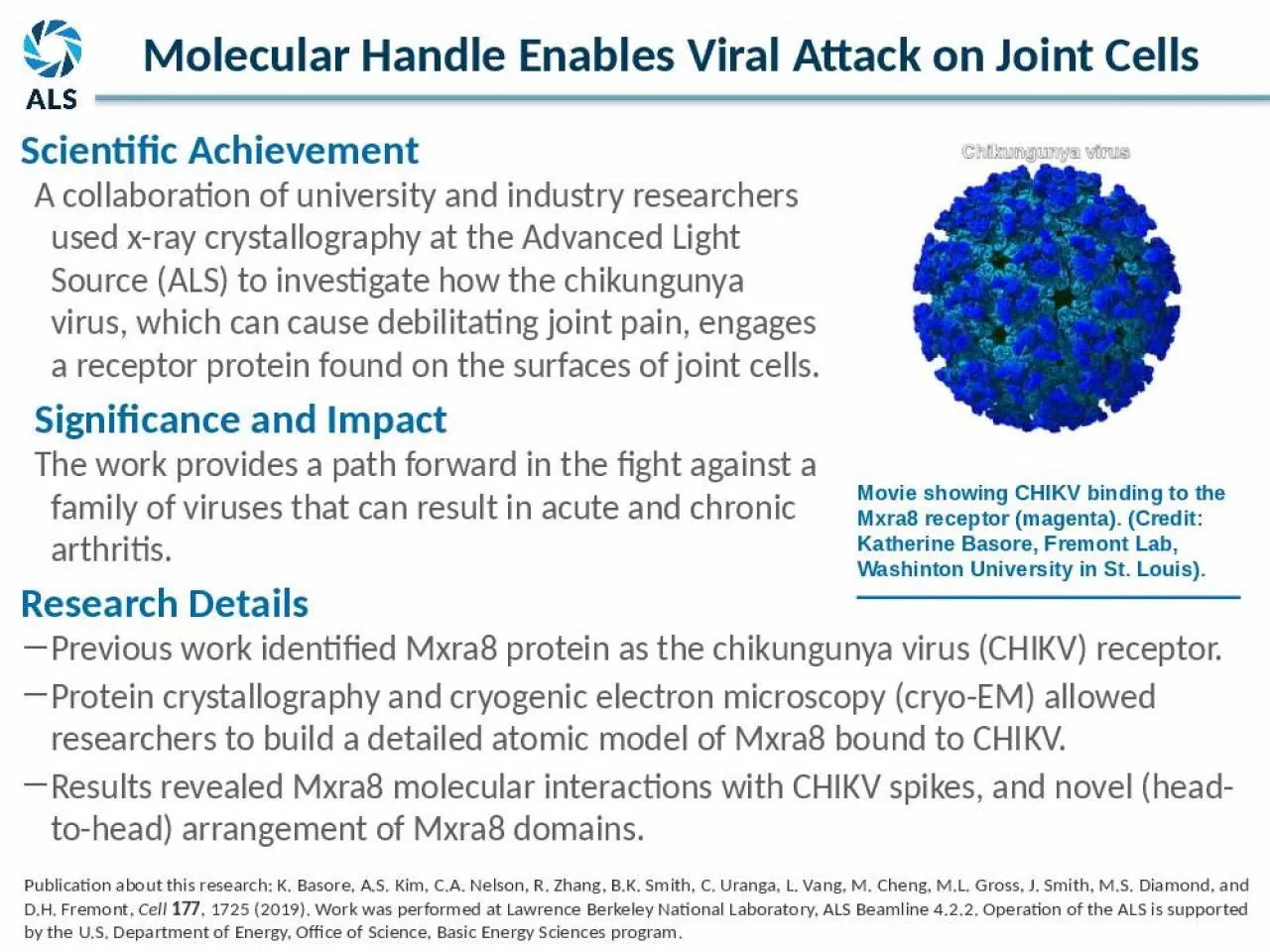 PPT-Research Details Previous work identified Mxra8 protein as the chikungunya virus (CHIKV)