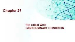 Chapter 29 The Child with  Genitourinary Condition