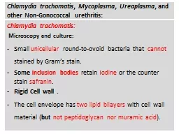 Chlamydia trachomatis ,