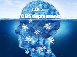 CNS depressants  CNS depressants