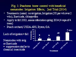 Fig. 1: Peachtree borer control with beneficial nematodes: Irrigation