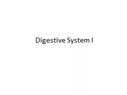 Digestive System I Fig. 22.01