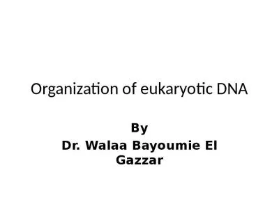 Organization of eukaryotic DNA