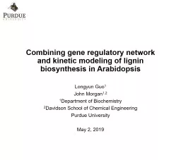 Combining gene regulatory network and kinetic modeling of lignin biosynthesis in Arabidopsis