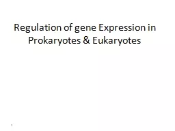 Regulation of gene Expression in Prokaryotes & Eukaryotes
