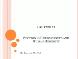 Chapter 11 Section 3: Chromosomes and Human Heredity